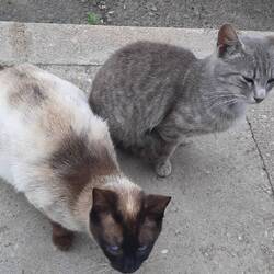 Under our table when stopped for brunch