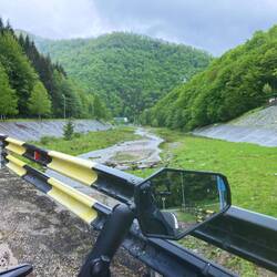 Man traut sich fast gar nicht in Ortschaften anzuhalten, überall frei laufende Hunde