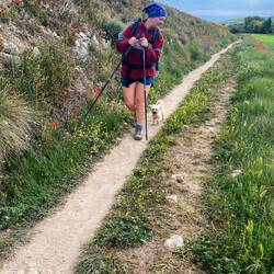 Sally, the dog walking the Camino