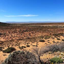 Katy und ich lernen Wüste