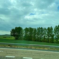 Green meseta