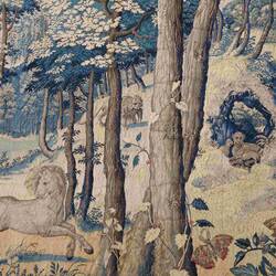 Look into the picture - the lion has caught a baby deer, so much detail