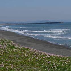 Dann geht es am Strand entlang - herrlich!