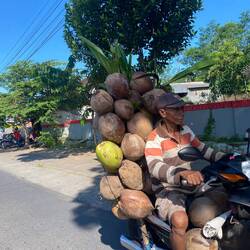 🥥