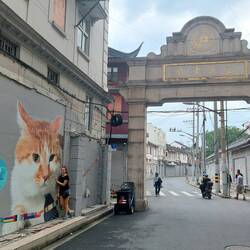 Patty hat ihre Lieblingsstrasse gefunden 😻