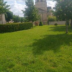 An das saftige Grün muss ich mich wieder gewöhnen