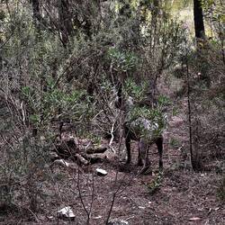 Wo läuft es denn hin