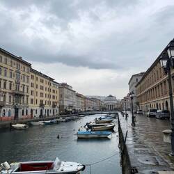 Vem behöver Venedig?