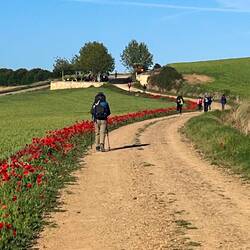 Picnic spot and coffee van ahead