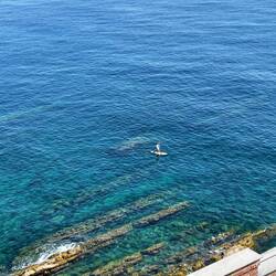 אי וויש (I wish)