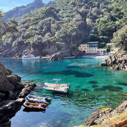 מתה! על הצבע של המים