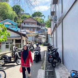 Motorcycles and scooters