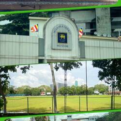 They love cricket but it's not their national sport