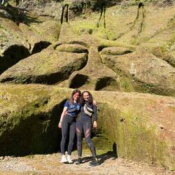 Si vous vous demandez pourquoi il manque une branche à mes lunnettes, posez la question à Lisa