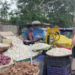 VIDEO - Making Sugar Cane Juice
