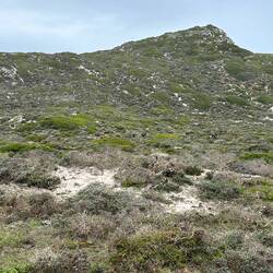 The rugged terrain of this national park