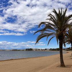 Strand mit Palmen