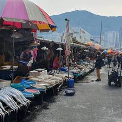 fish market