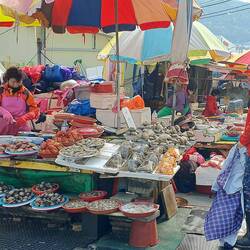 fish market