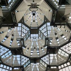 Safdie