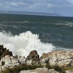 The roar of the surf