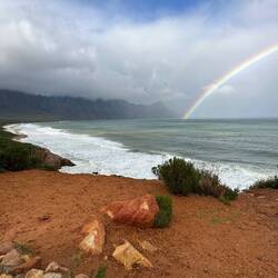 And yet another rainbow sighting!
