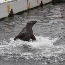 Besuch im Aquarium
