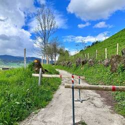 Hiking trails everywhere