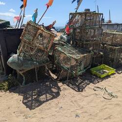 Fishing traps