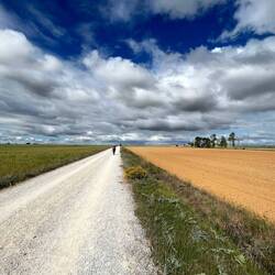 Flat, straight Meseta
