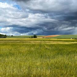 Storm threatening