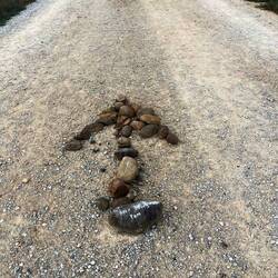 We saw a few of these encouraging Pam