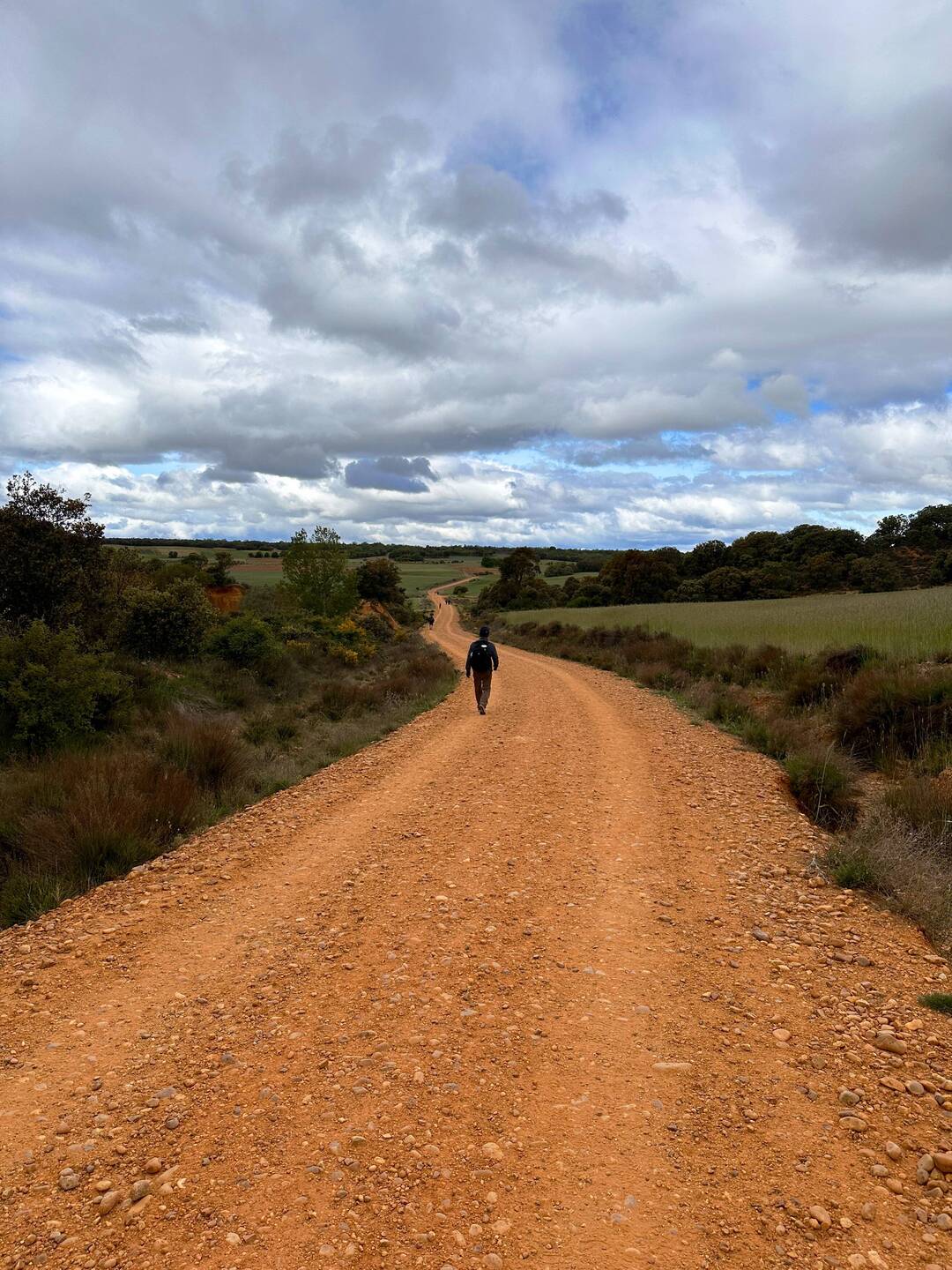 Amr's camino