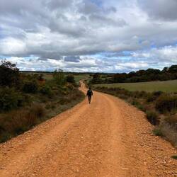 Amr's camino