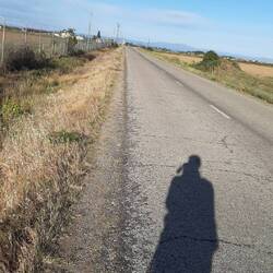 The road ahead ,- straight