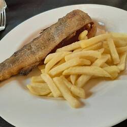 Pink trout and chips 2nd course