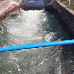 Farms here are well irrigrated