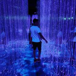 Benny in der blauen Welt