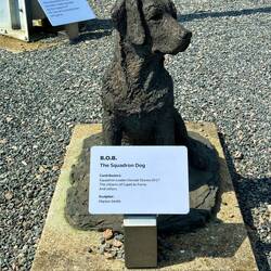 Bereit für einen Dogfight?!