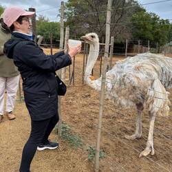 Feeding Madonna - watch that beak!