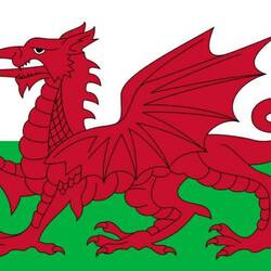 Das ist die Flagge von Wales 👍