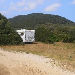 Ganz allein und gut versteckt auf weiter Flur