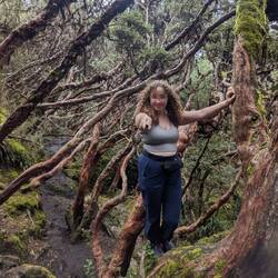 Expecto Patonum.... Get it, cause I'm in the forbidden forest