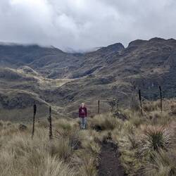 Angus pretending to be a cactus