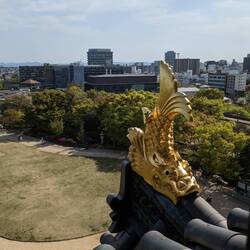 Un poisson géant ornant le château