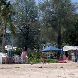 The beach