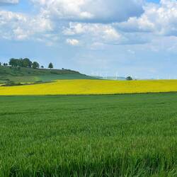 View of one of the battle points of WWI