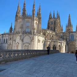 Cathedral de Santa Maria rising out of the streets and reaching for the sky
