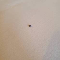 Gleich beim ersten Bissen hat man mir ins Essen gesch...ossen. Eisenhaltige Ernährung nach Jägerart!