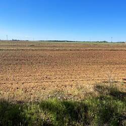 A bit flatter and dryer than before